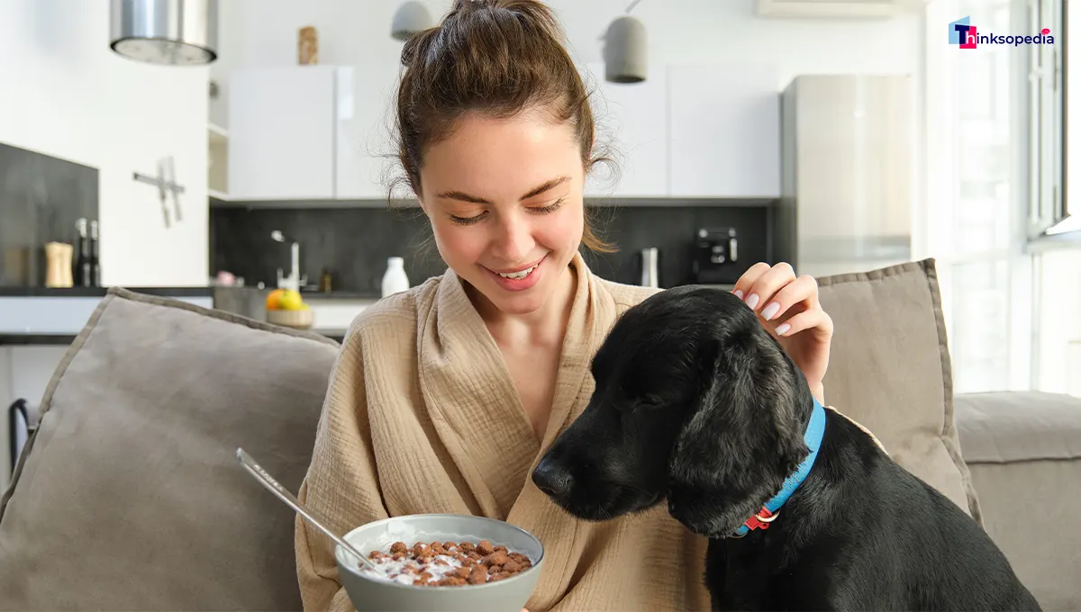 pet food subscriptions